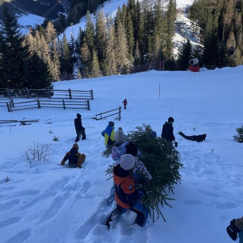 Christbaum 