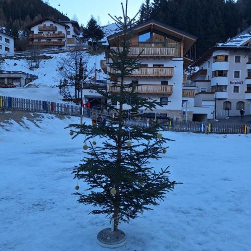 Christbaum für den Pausenhof