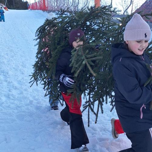Christbaum für den Pausenhof